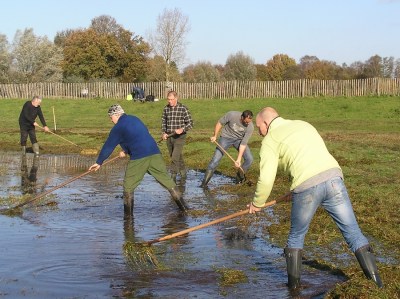 ??????????????????????